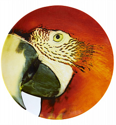 CHARGER PLATE RED MACAW