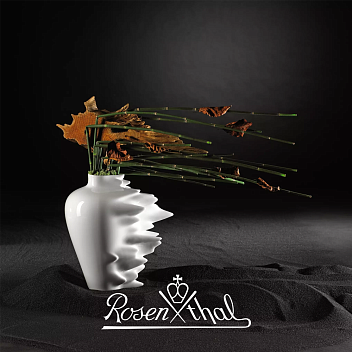 Новое поступление Rosenthal