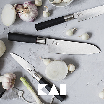 Новое поступление KAI