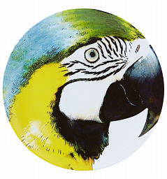 CHARGER PLATE YELLOW BELLIED MACAW