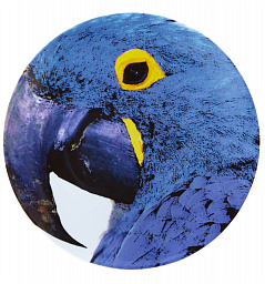 CHARGER PLATE BLUE MACAW