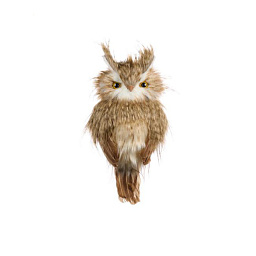 Сова на ветке 36 см